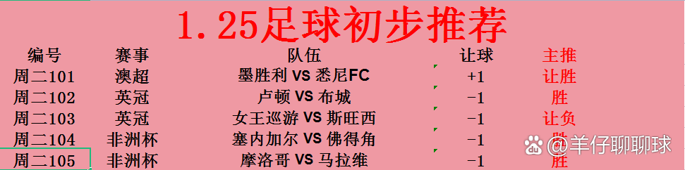 非洲球队汇聚智慧实现团结一致胜出