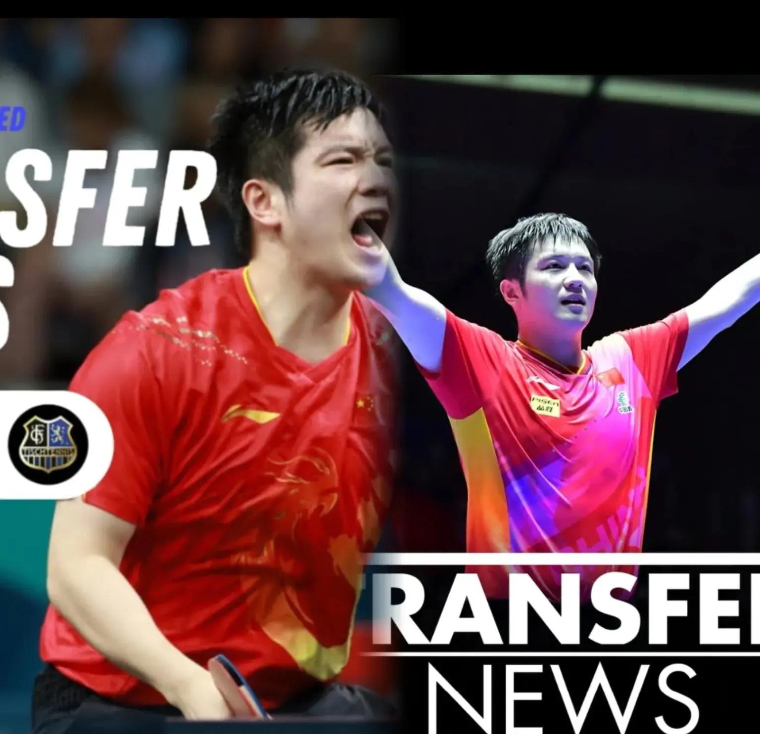 波兰乒乓球队完胜韩国乒乓球队，樊振东关键制胜的简单介绍