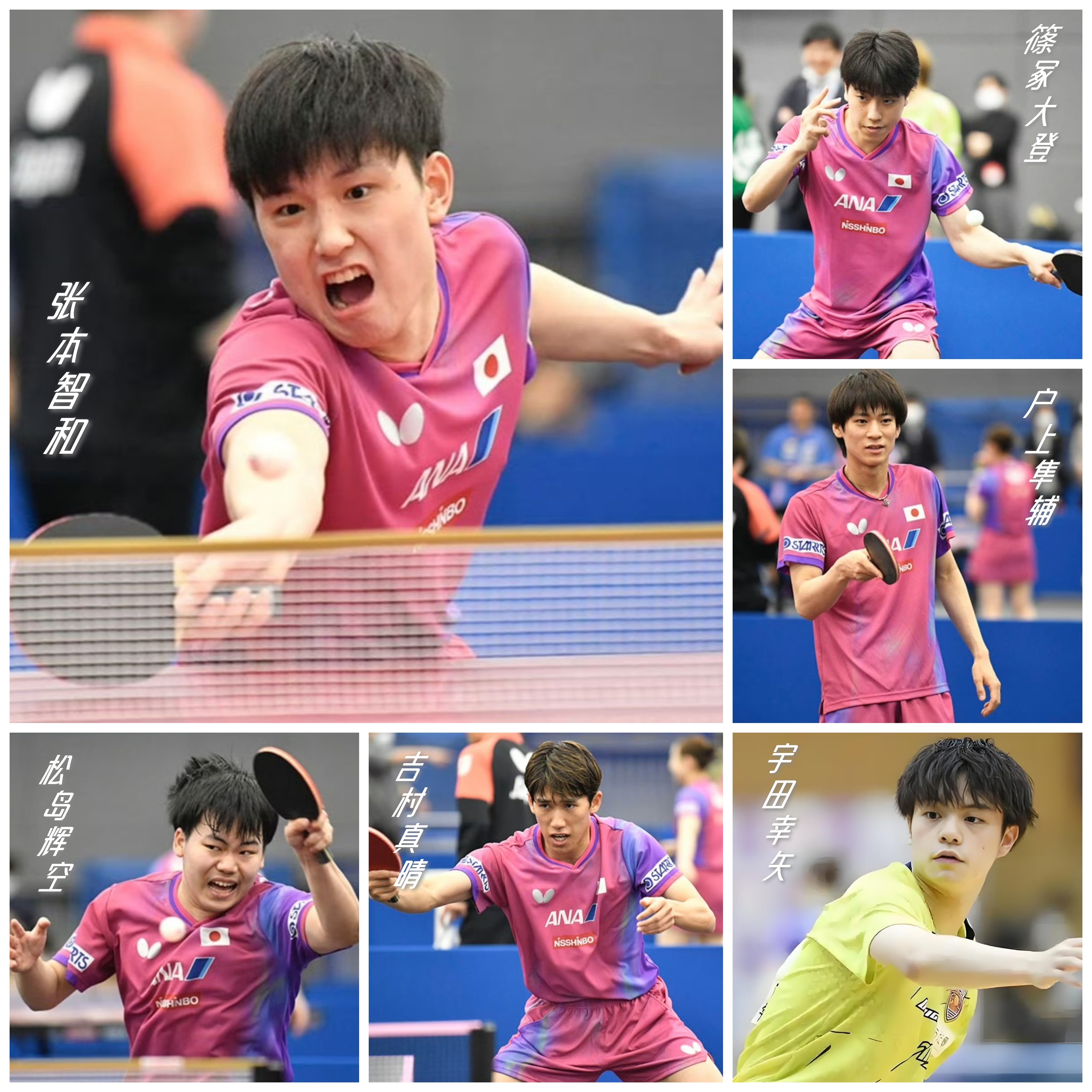 日本乒乓球队完胜瑞典乒乓球队，张本智和关键制胜的简单介绍