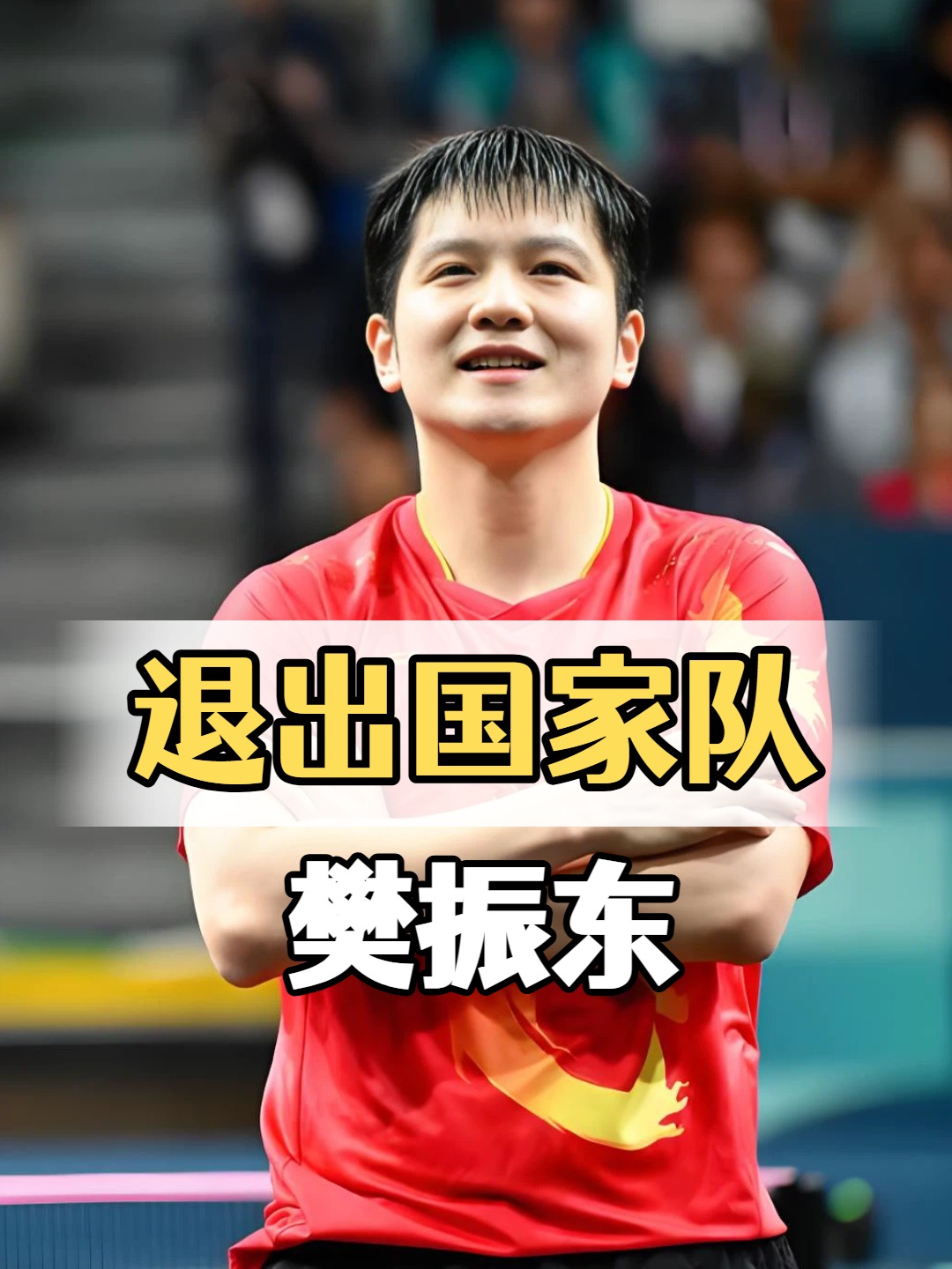 波兰队险胜德国队，樊振东统治全场