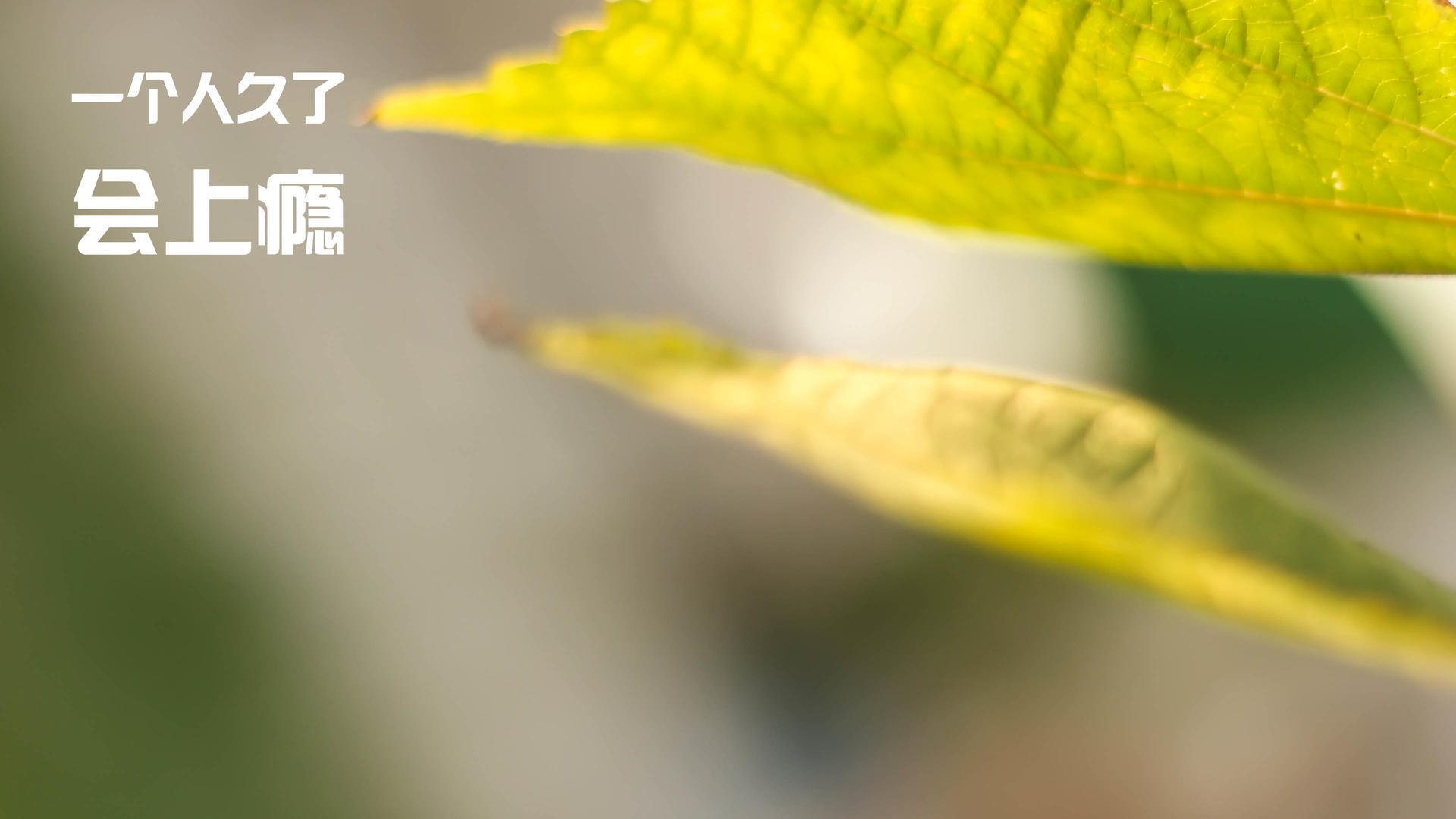 开云体育在线-定调者，杜兰特如何用一剑封喉让热火轻取勇士