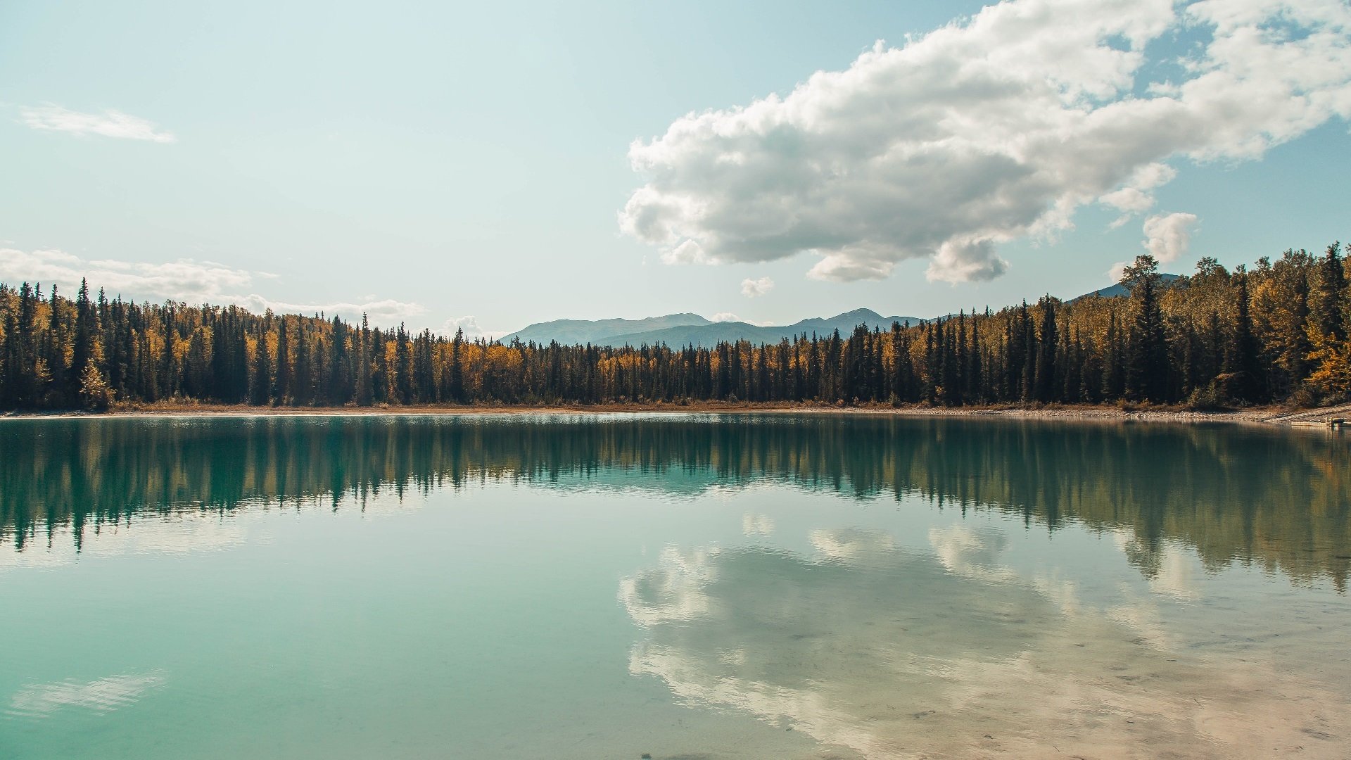 残阵活塞压哨惊雷，东契奇冠军级表现书写逆转序章