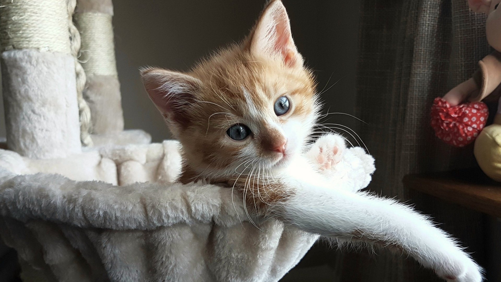 希腊神话再续，争冠战力克瑞典，布雷默化身关键先生铸就传奇