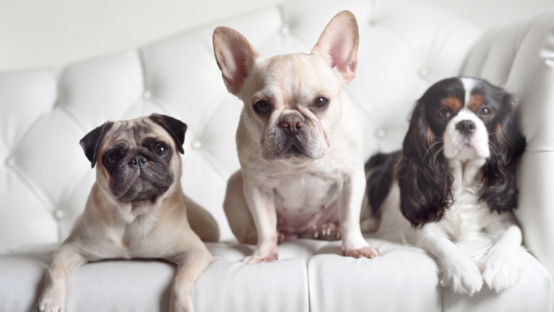 开云体育入口-灰暗中的一道惊雷，布克绝杀之夜与体育精神的永恒回响