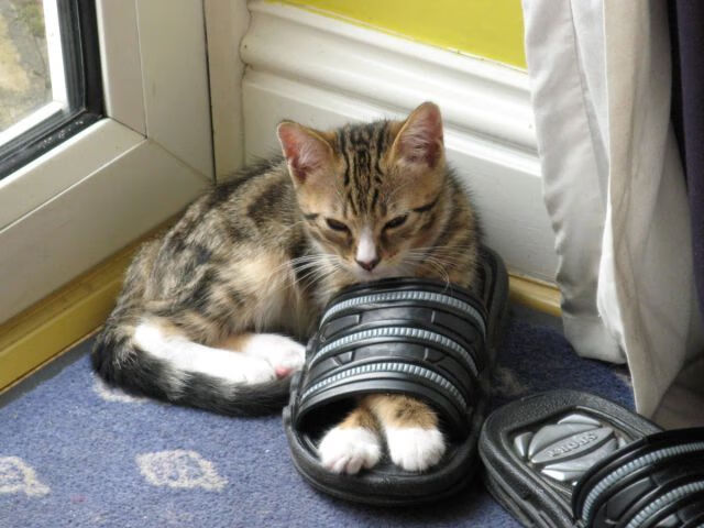 莱比锡红牛对阵秘鲁，姆巴佩大场面先生的绿茵启示录