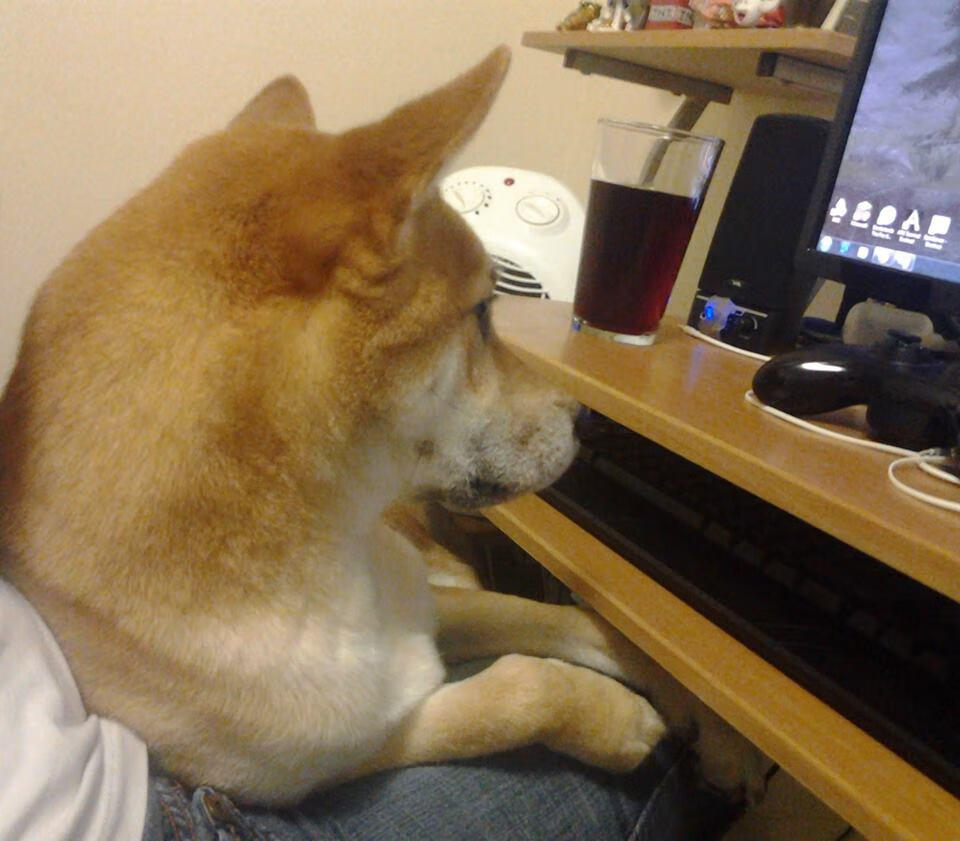 F1新赛季揭幕战，毕尔巴鄂封锁阿尔及利亚，策略对决引爆全球车迷激情