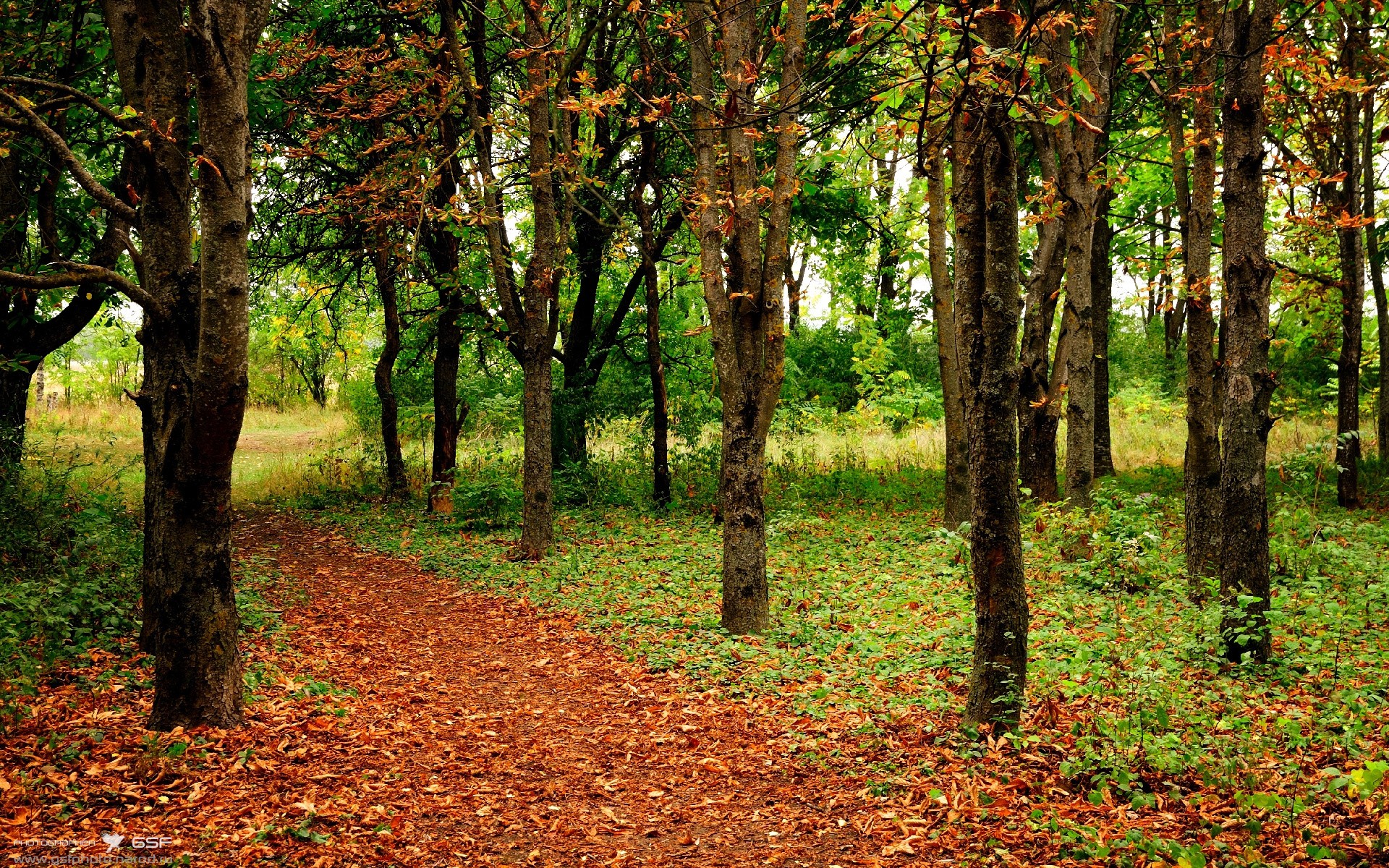 范弗利特法则，国家德比之夜与孤胆英雄的辩证诗