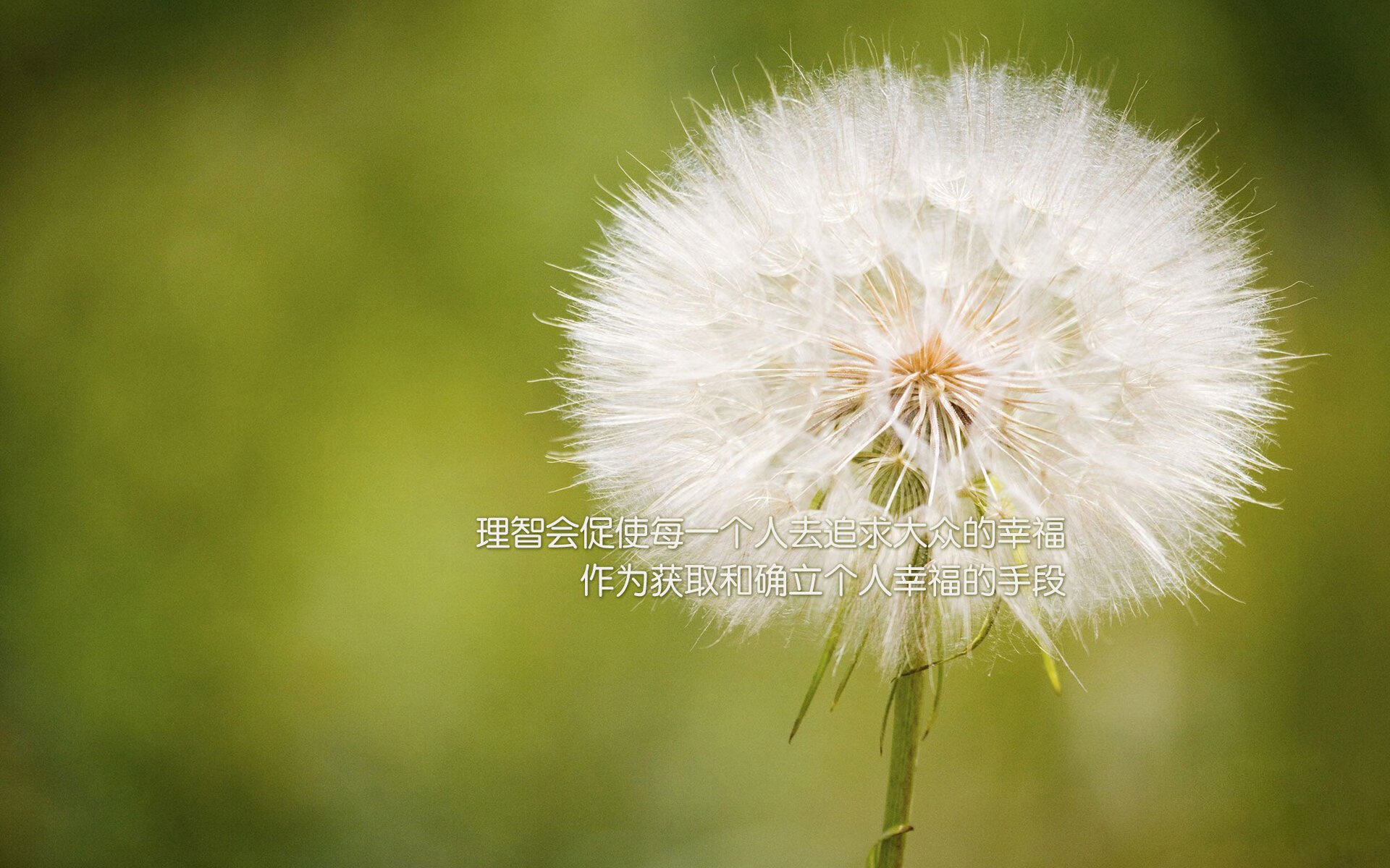 开云体育中国-绝境硬仗见真章！范弗利特化身关键先生率奇才险胜开拓者